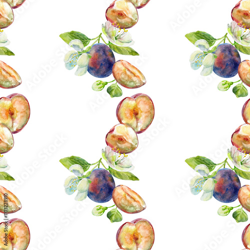 Seamless border of the plums branch with leaves and flowers on an isolated on a white background. Realistic illustration with watercolor hand drawn. Would look great on fabric, kitchen towels or food photo