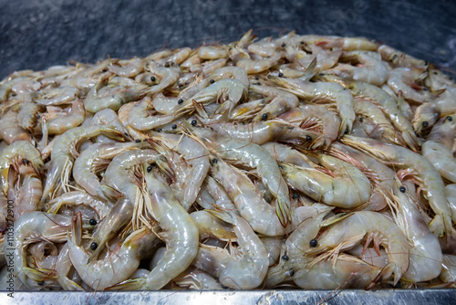 Bandar Abbas market, Iran. Gifts of the sea (oceanic shrimp). photo