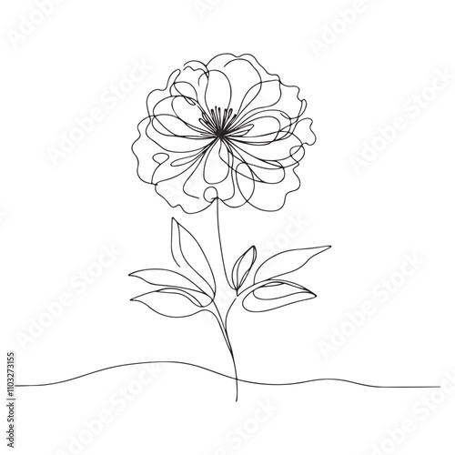 One continuous single hand drawing black line art doodle of blooming flower illustration on white background