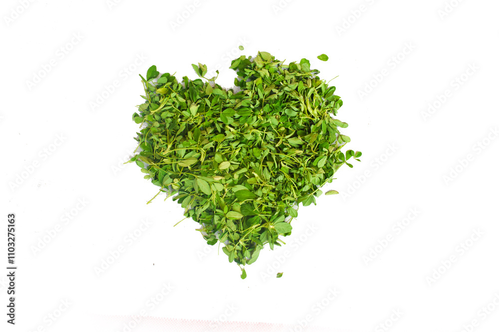 pieces of dry green tea on white background, Fenugreek leave leaf with wihte back ground,Group leaves of trifolium alexandrinum or cluster of leaves of Egyptian clover, berseem clover, indian pieces of dry green tea on white background, Fenugreek leave leaf with wihte back ground,Group leaves of trifolium alexandrinum or cluster of leaves of Egyptian clover, berseem clover, indian