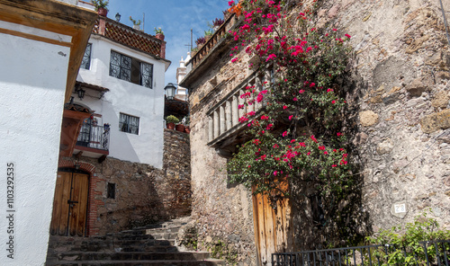 Strolling through Taxco's charming streets with vibrant bougainvillea and rustic architecture