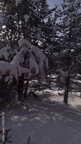 Kars Sarikamis vertical view from window of a train, snowy plain photo