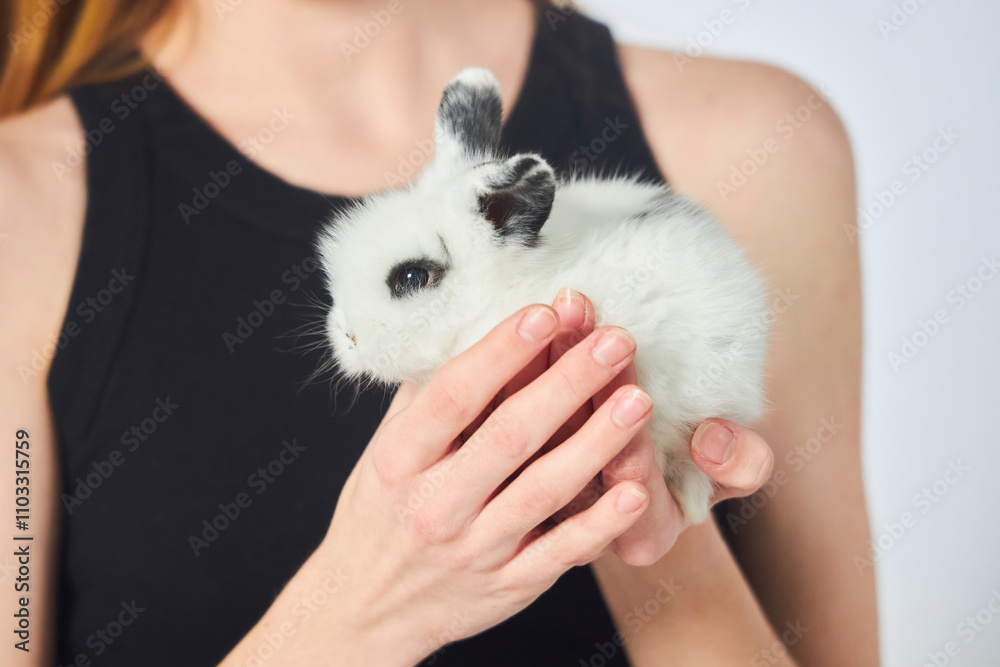 A young beautiful girl in a bunny costume and black clothes on a clean white background. In the hands of a small rabbit A young beautiful girl in a bunny costume and black clothes on a clean white background. In the hands of a small rabbit
