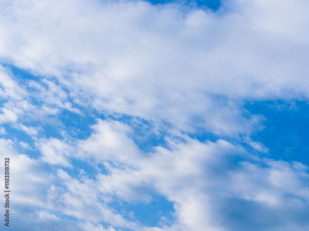 Fototapeta premium 秋雨の日の束の間の晴れ間07