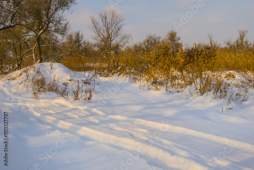 rural road through the winter snowbound forest photo