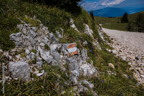 trail in the mountains