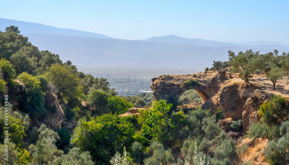 Obraz premium Nysa Ancient City in Sultanhisar district of Aydin Province of Turkey. Nysa on the Maeander in ancient Lydia, first was a greek city and later an roman city.