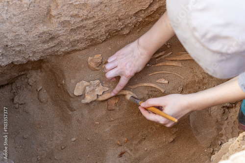 Foto ARCHAEOLOGY HUMAN REMAINS