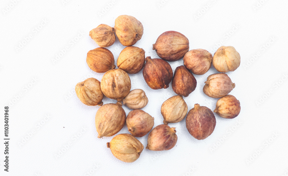 Cardamom, Siam Cardamom or Cardamom isolated on white background. Camphor dried seeds. Dried Herb Spice Cardamom, Siam Cardamom or Cardamom isolated on white background. Camphor dried seeds. Dried Herb Spice