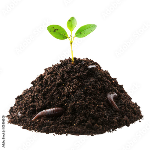 Sprouting plant atop fertile soil with earthworms, isolated on white background.