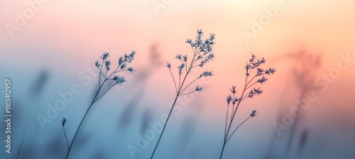 Wallpaper Mural Silhouettes of Delicate Wildflowers Against a Soft Pastel Sunset, Minimalist Nature Serenity Torontodigital.ca