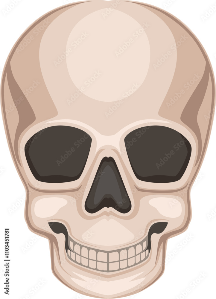 A skull with a smile on it A skull with a smile on it