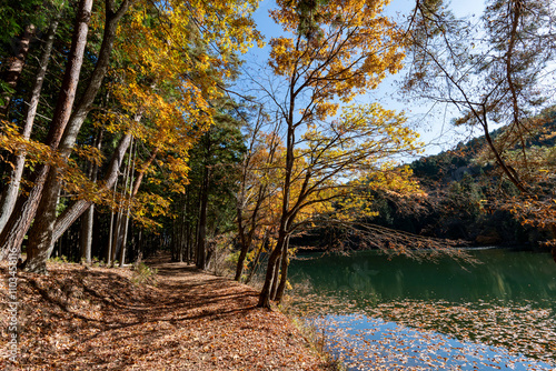 紅葉の北伊奈ヶ湖 photo