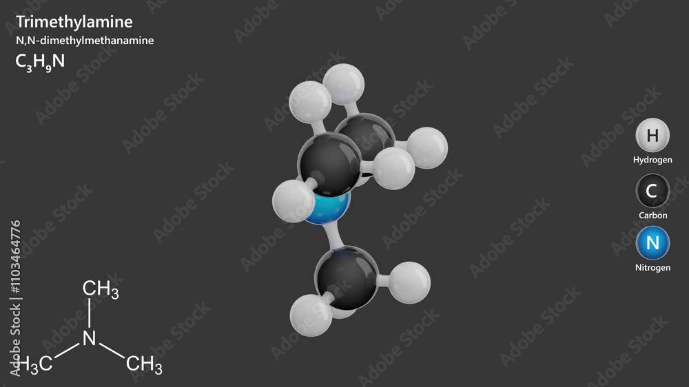 Trimethylamine. Animated 3D model of a molecule. Molecular formula ...