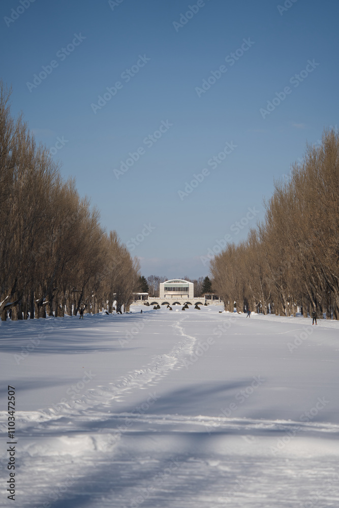 Fototapeta premium 札幌市手稲区の前田森林公園の冬の様子