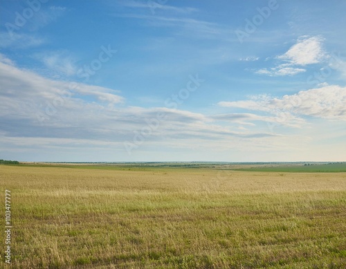 Wide and expansive spaces featuring elements like a wide horizon, open field, and panoramic view representing vastness, freedom, and open spaces.