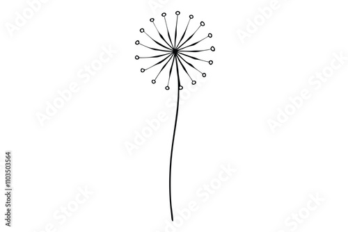 Dandelion flower line art vector illustration
