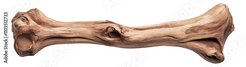 PNG Natural driftwood piece isolated on white background