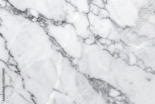 High-resolution image showcasing the elegant veining of white marble