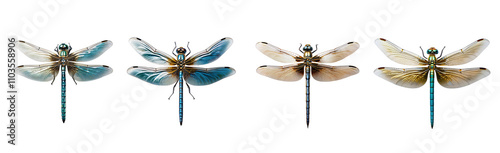 Set of shimmering dragonfly on transparent background