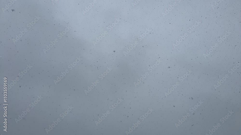 Slow Falling Snow During the Day, Loop Video