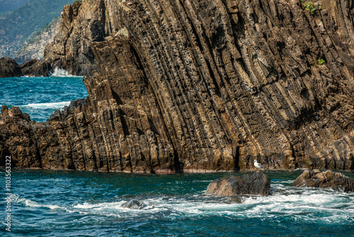 Fototapeta Naklejka Na Ścianę i Meble -  Rock formations on the coast of the Tirrenean Sea at Riomaggiore, Cinque Terre, Italy