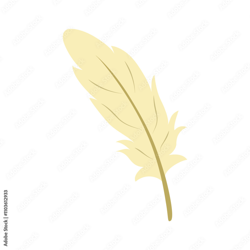 Feather Illustration Feather Illustration