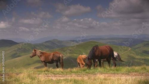 Three horses grazing on a grassy mountain meadow under a cloudy sky with scenic hills and valleys in the background photo