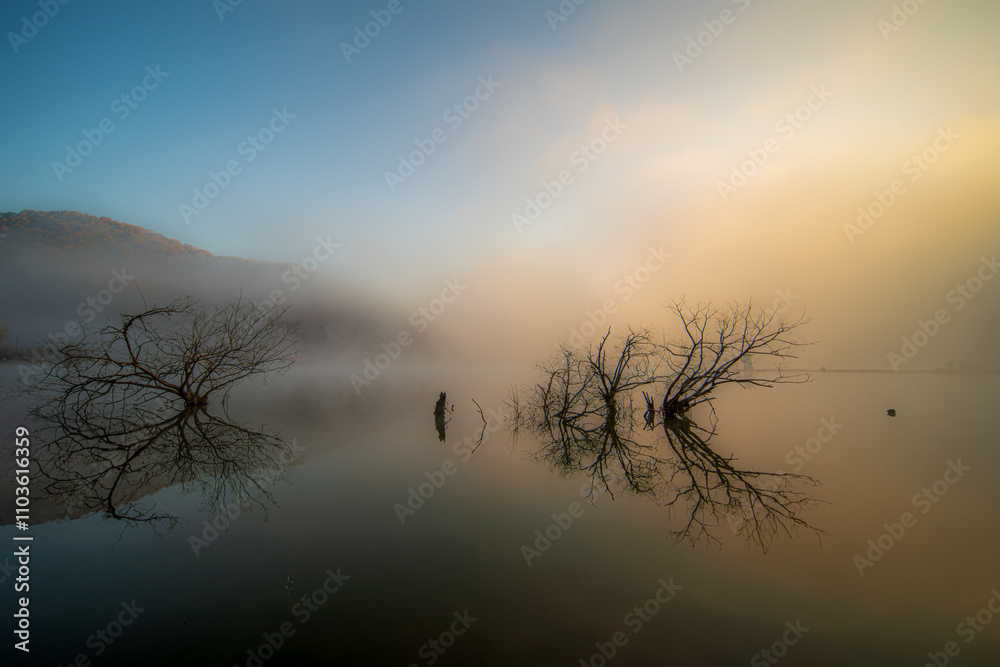 Fototapeta premium Rivers, sea of ​​fog, streams, mountains, falling leaves, changing seasons in South Korea.