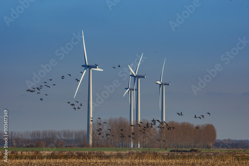 Wind turbines stand tall against a clear sky while birds soar above a peaceful landscape in a rural area