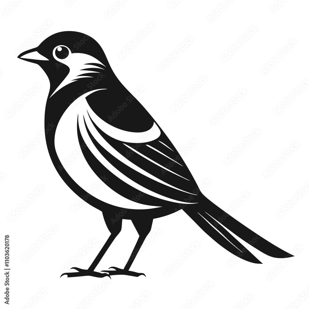 Obraz premium Lilac-Breasted Roller silhouette