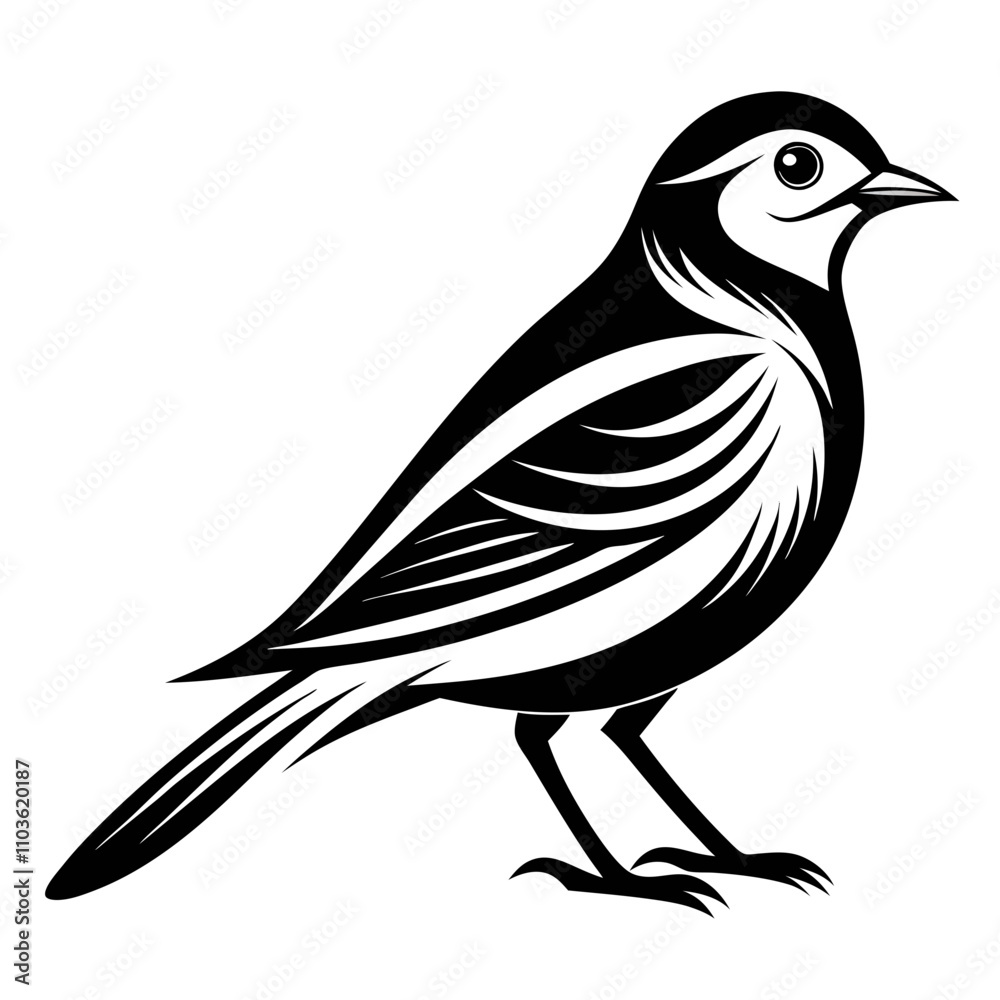 Fototapeta premium Lilac-Breasted Roller silhouette