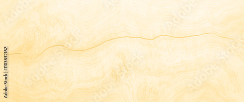 Vector modern textured brown wooden background design with wood plank texture background