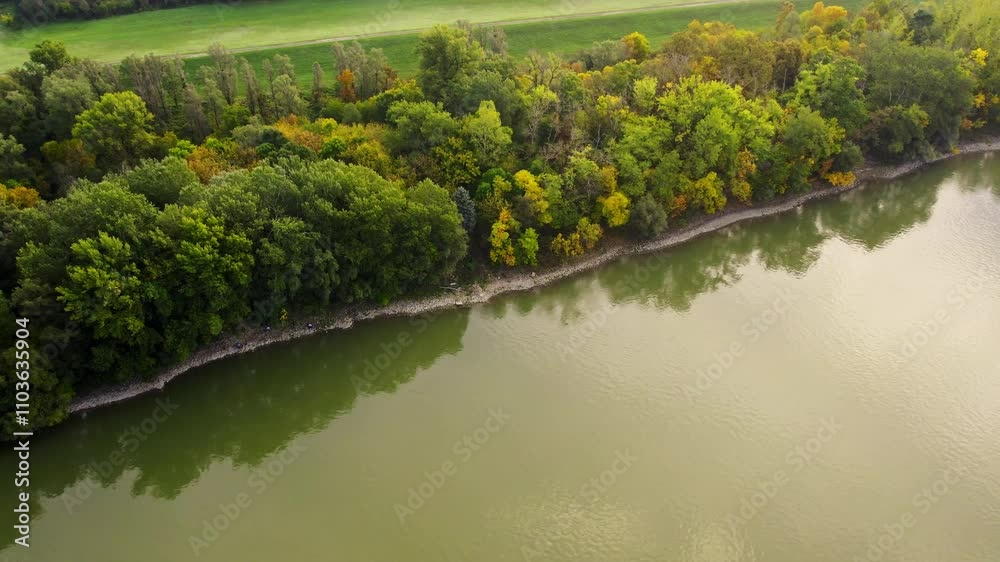 Lush green riverbank with vibrant autumn foliage along the water's edge in a tranquil landscape Lush green riverbank with vibrant autumn foliage along the water's edge in a tranquil landscape