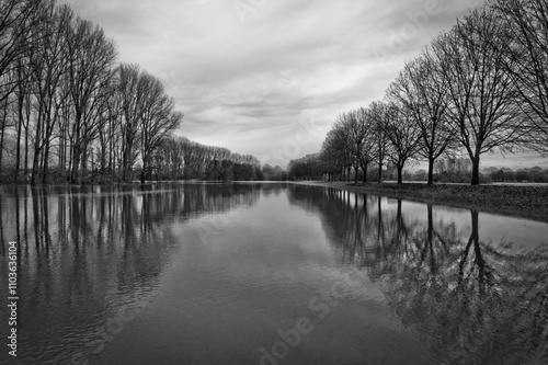 Rows of trees reflected on the surface of a flooded field in winter.