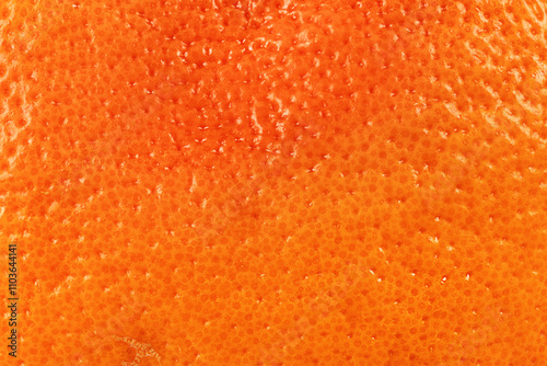 Citrus peel texture. Ripe orange or grapefruit background closeup. Macro shot.