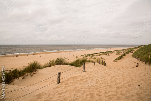 Dunes by the North Sea Coast