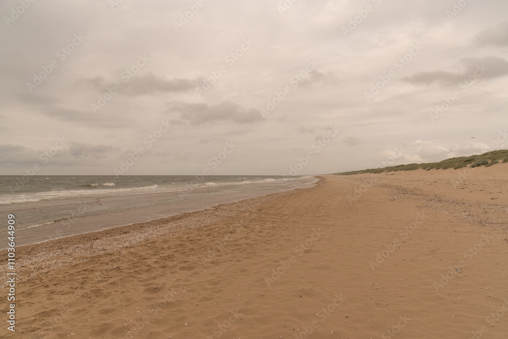 beach and the sea in the morning beach and the sea in the morning
