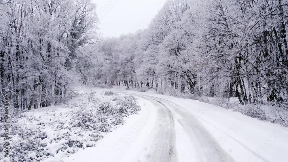 Snow-covered winding road through a winter forest in a tranquil setting during a snowy day Snow-covered winding road through a winter forest in a tranquil setting during a snowy day