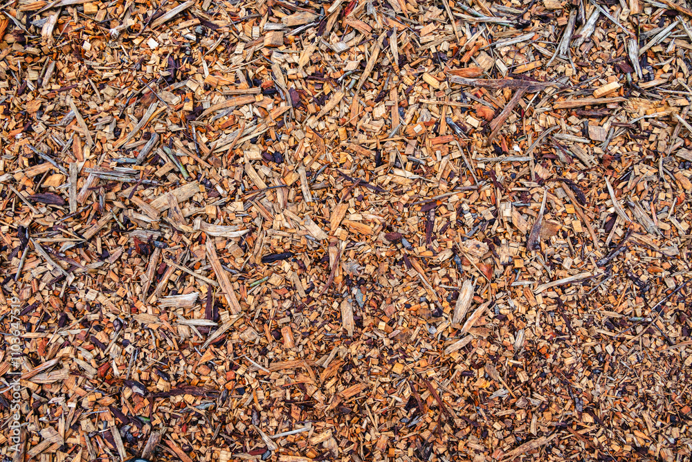 The ground of wood chips forms an intricate mosaic of varied sizes and shapes, creating an aesthetically pleasing and textured surface 2 The ground of wood chips forms an intricate mosaic of varied sizes and shapes, creating an aesthetically pleasing and textured surface 2