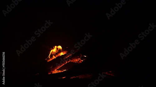 The fireplace in the house burns like a bonfire on natural wood and branches from the forest. The fire is actively burning, a tree falls and flares up