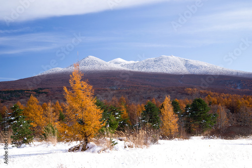 日本、青森、八甲田連峰の雪景色と紅葉