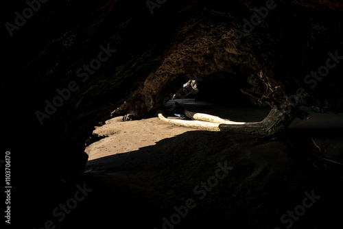 Coastal Curiosity: Exploring the Mysterious Cave Formation