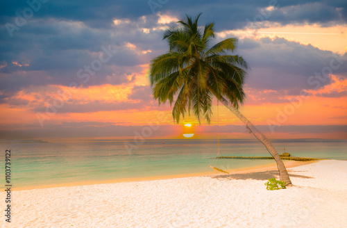 Tableau sur toile Dreamlike beach with palm trees in the Maldives. Baa Atoll, Asia
