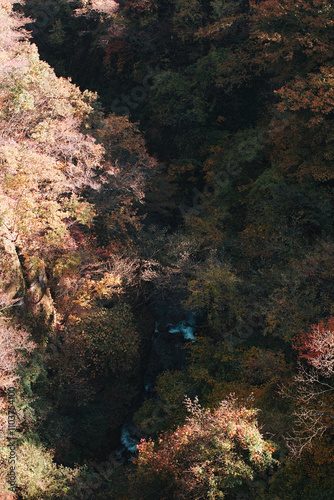 福島県西郷村　秋の雪割り渓谷の景観 photo