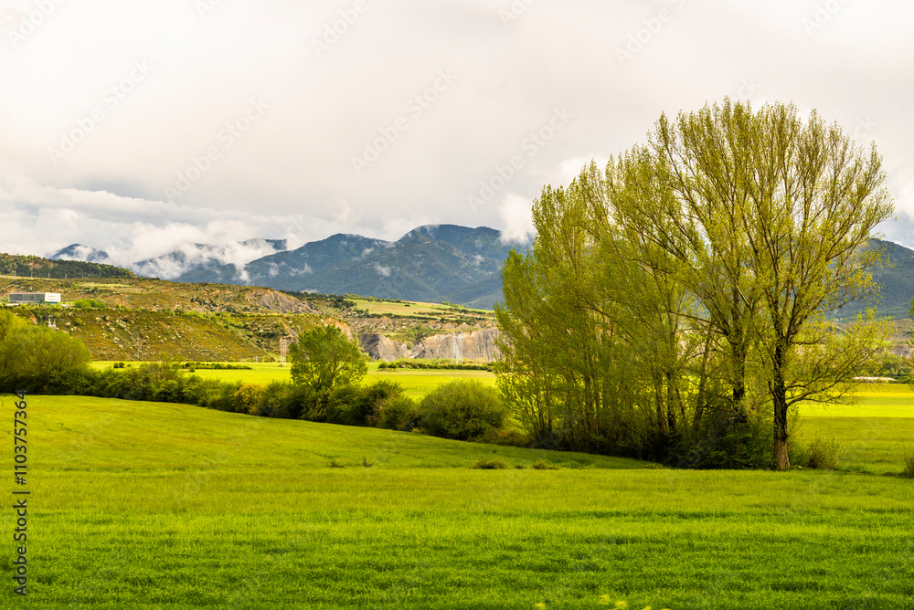 Obraz premium French countryside and towns near the French Pyrenees