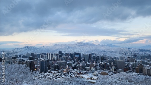 winter landscape with snow