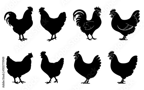 Hen silhouette set vector on white background.