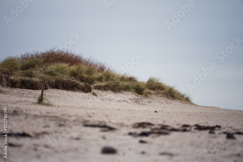 Obraz na płótnie Naturstrand in Schillig, Wangerland, November 2024 w salonie