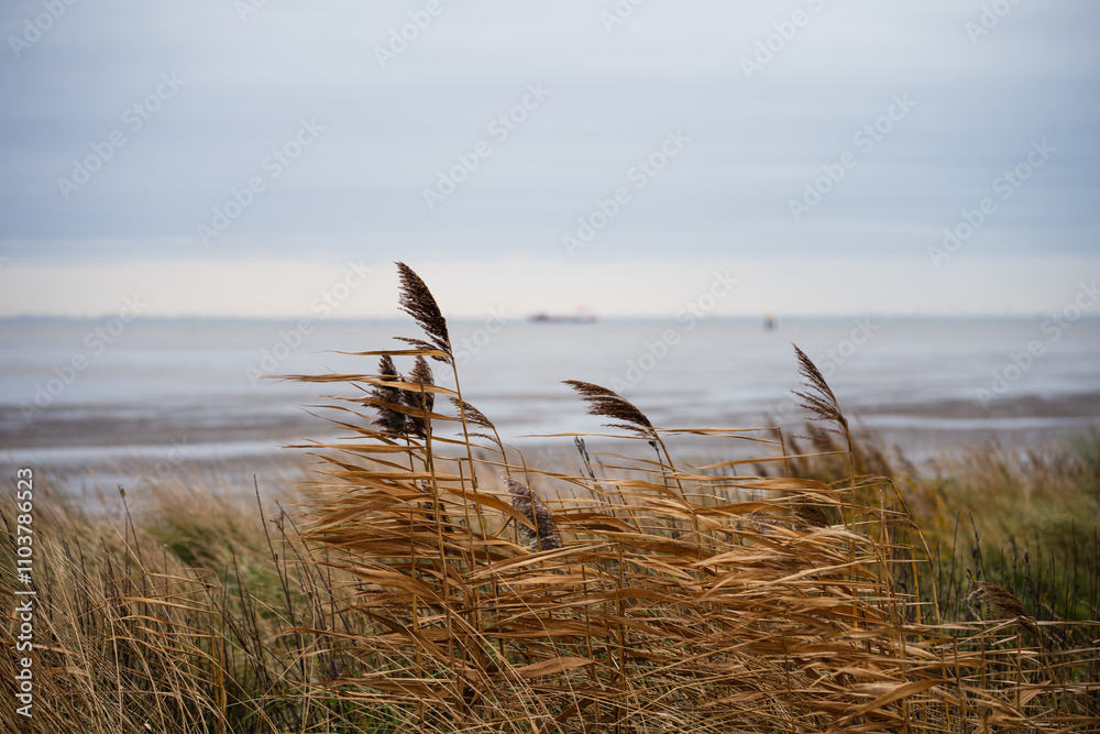Naturstrand in Schillig, Wangerland, November 2024